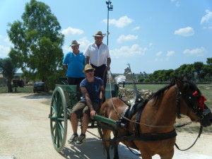 Dall'aereo al cavallo...