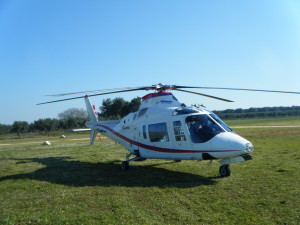 Alidaunia elicottero in sosta
